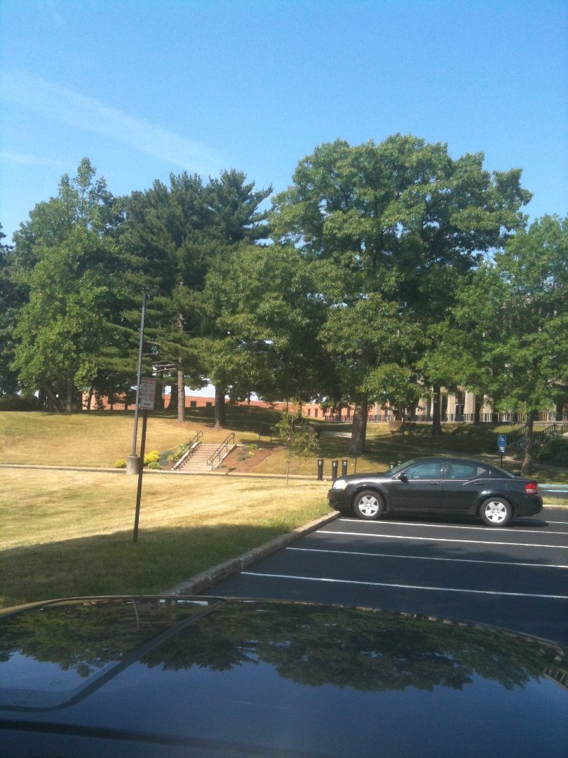 Steve Baxter's album, Kent State