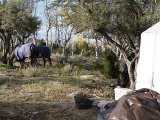 Lynn Lynn Conard's album, Waynes Hunting Pics 2012