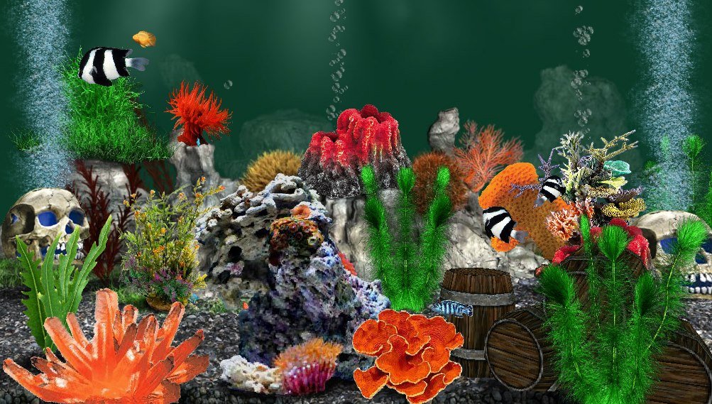 Rose Howell's album, AquaLife 3D Photos
