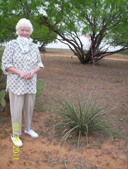 Sandy Shodeen's album, Garden Party Update for March 29, 2011