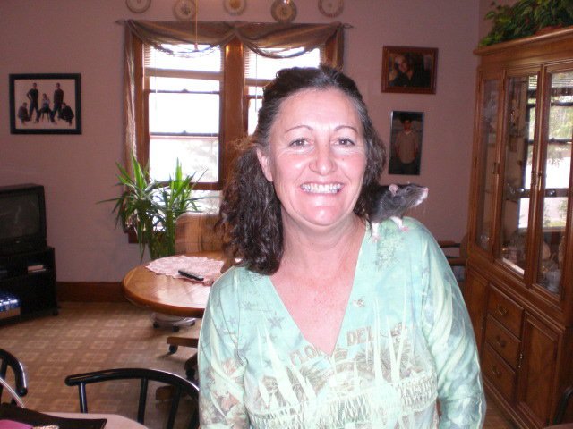 Jane Ellis' album, Profile Pictures