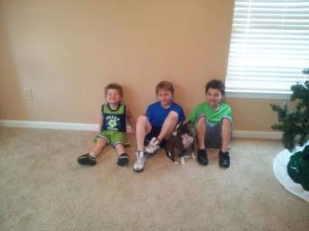 Nancy Mitchell's album, Timeline Photos