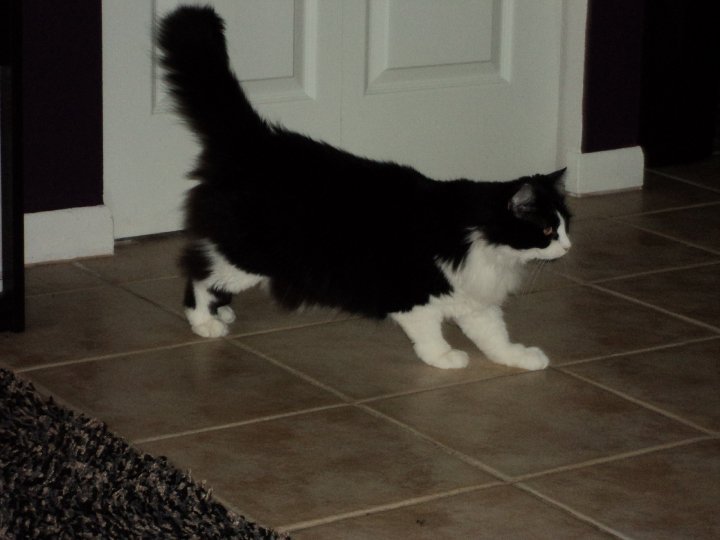 Kathy Houck's album, My Pictures