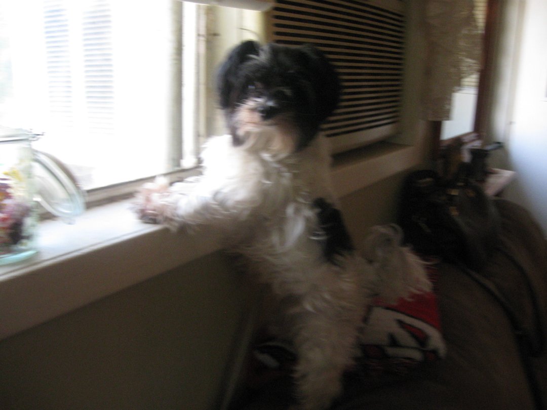 patty trantham's album, Cover Photos