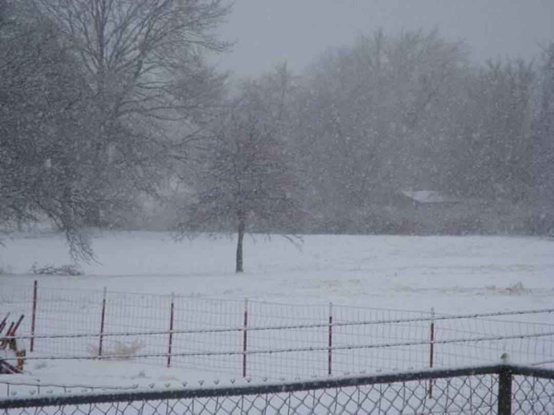 Peggy Smith's album, Snow Storm Jan 2010