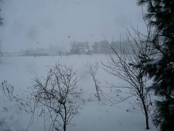 Daniel Czelatdko's album, Winter Storm Two 2011