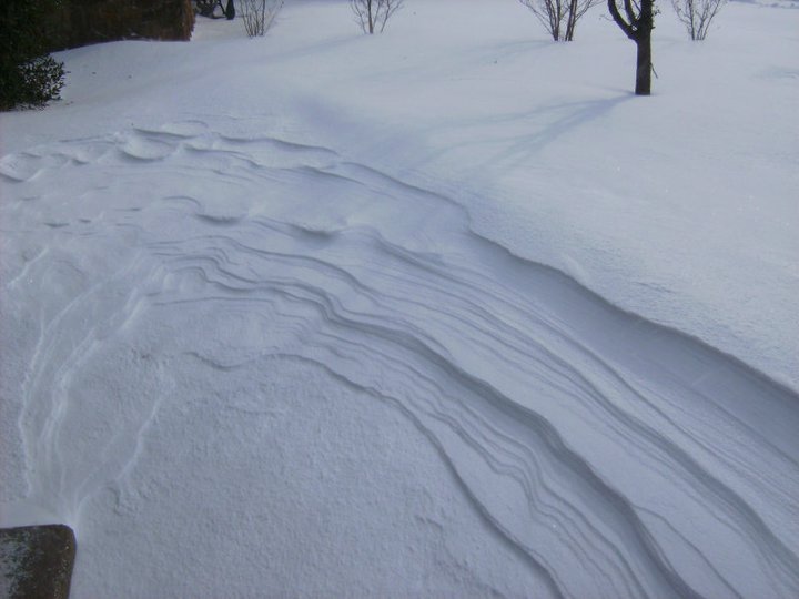 Todd Samuelson's album, Another album of blizzard photos