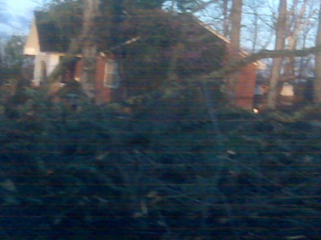 Nelda Goins' album, Tornado 3/24/2011