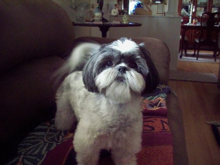 Nancy Dohm's album, Cover Photos