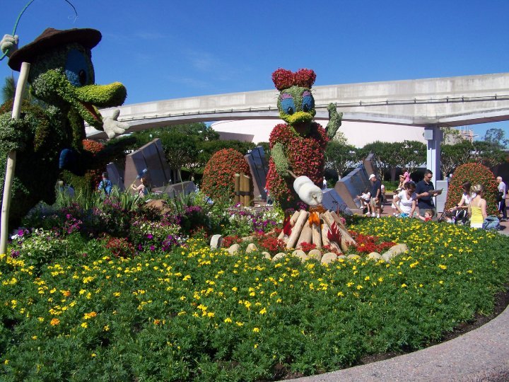 Peter Ticknor's album, Flower show at Epcot