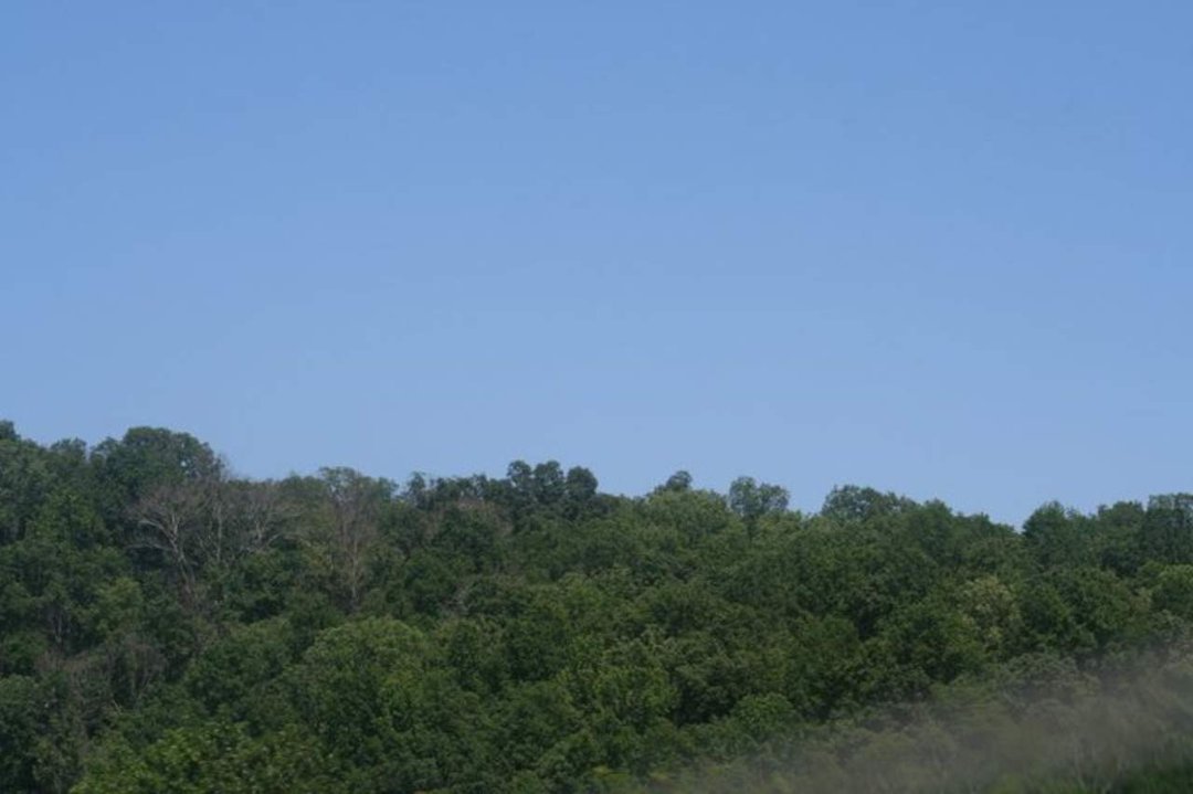 Regina Rowe's album, trip to kentucky summer 2008