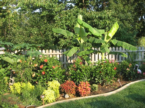 Sharon Moore's album, Missing My Garden