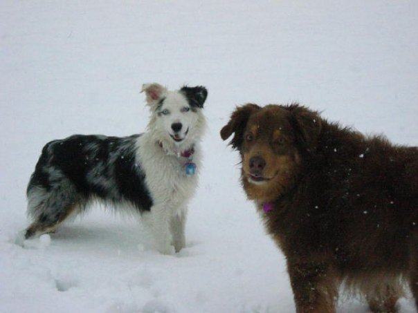 Jane Adams' album, Snowy Day 1-11-10
