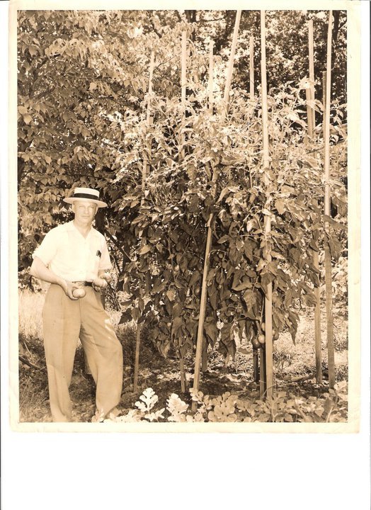 Grace Benefield's album, My Old Pictures
