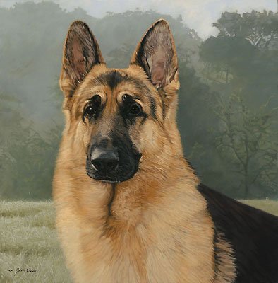 Chuck McLaughlin's album, Profile Pictures