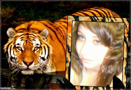 Michael Aru's album, Cover Photos