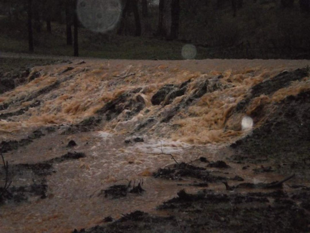 Sandra Wiversoll's album, the river march 15 2011
