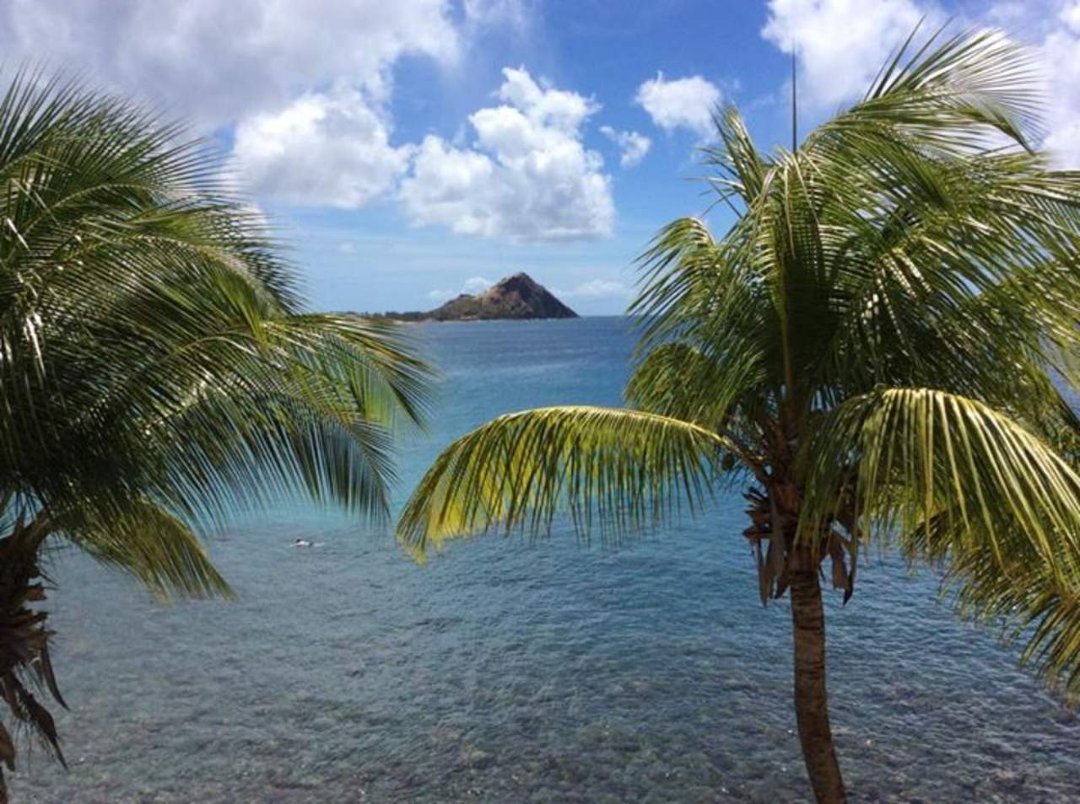 James McGraw's album, Mobile Uploads