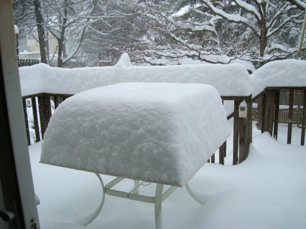 Donald Swan's album, Blizzard_12_2009