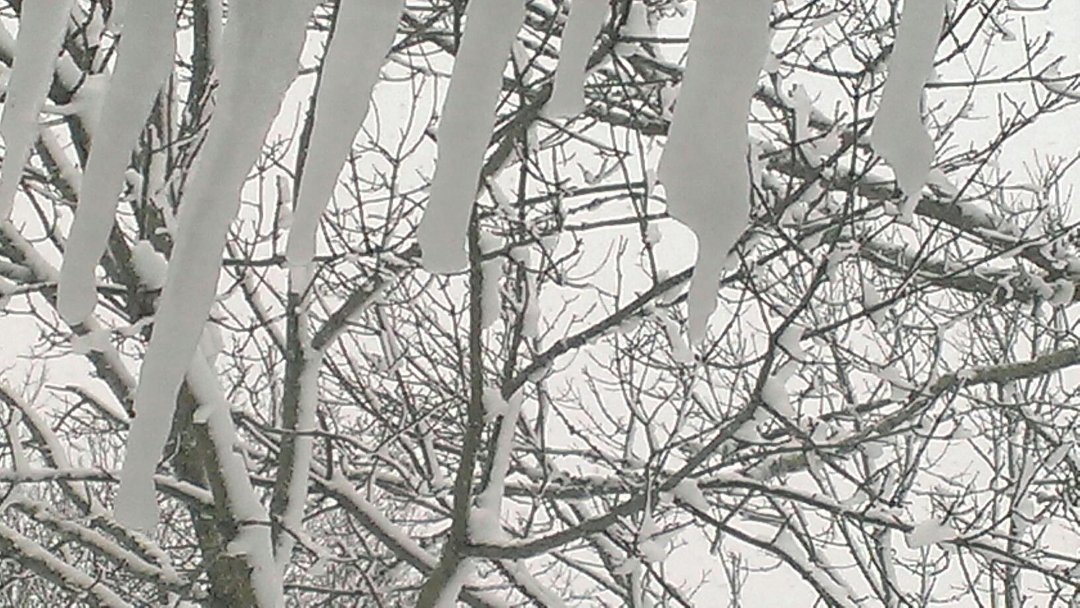 Leslie Curtin's album, Mobile Uploads