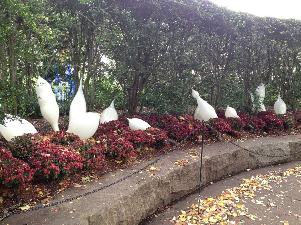 David Howerton's album, Chihuly Glass at Dallas Arboretum