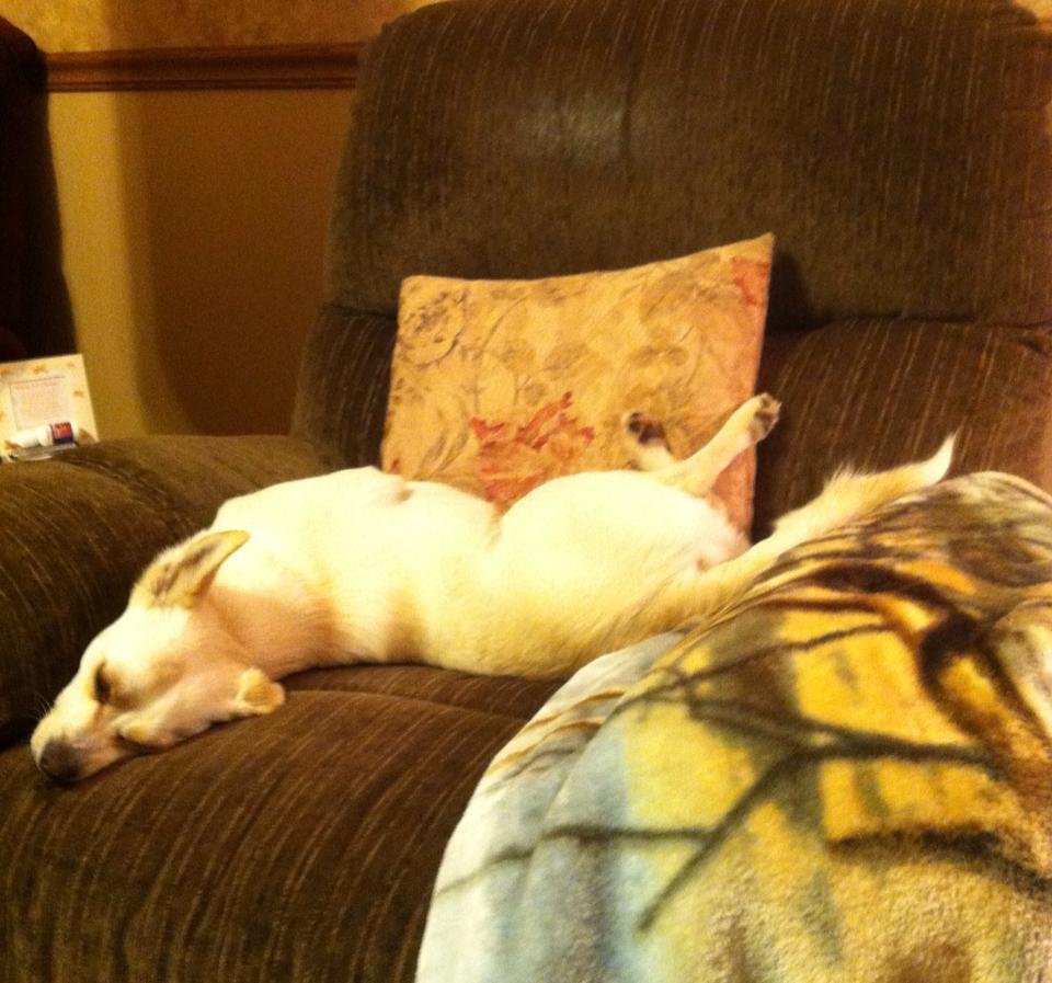 Tammy Conrad's album, Mobile Uploads
