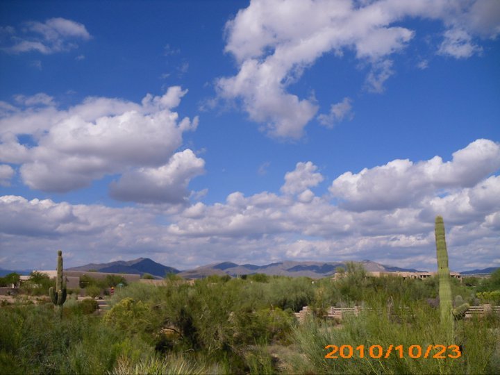 Sherrie Lambaren's album, October 30, 2010
