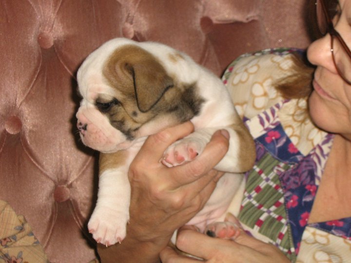 Edith Johnson's album, March 2, 2011