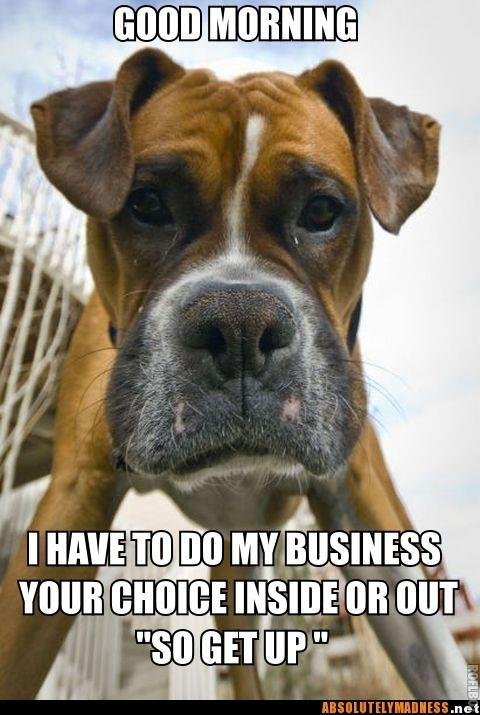 Harry Houdeshell's album, Timeline Photos