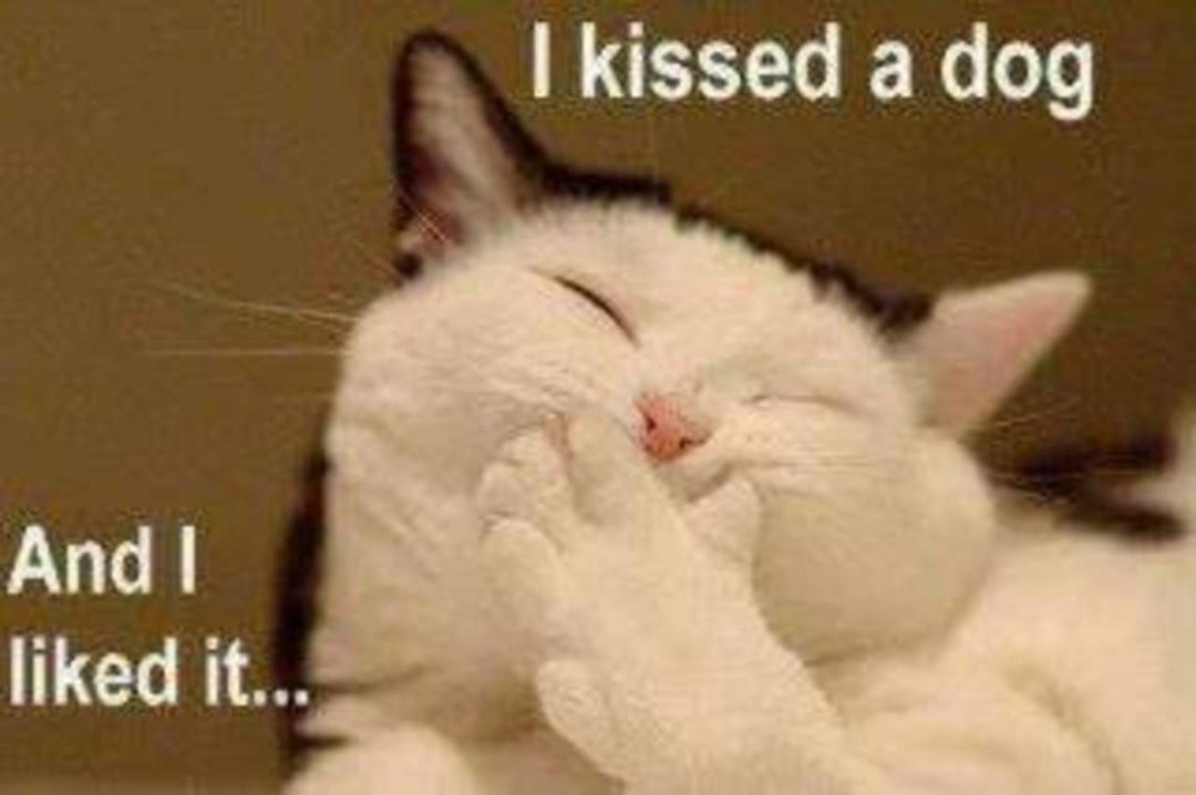 Cindy Simmonds' album, Timeline Photos