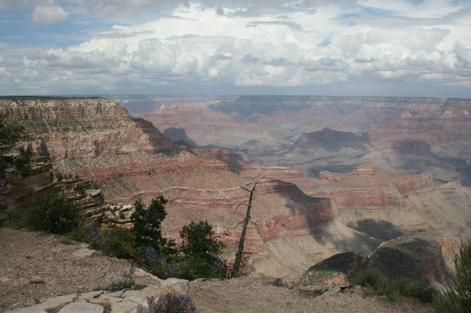 Florence Barron's album, Arizona Vacation 2012
