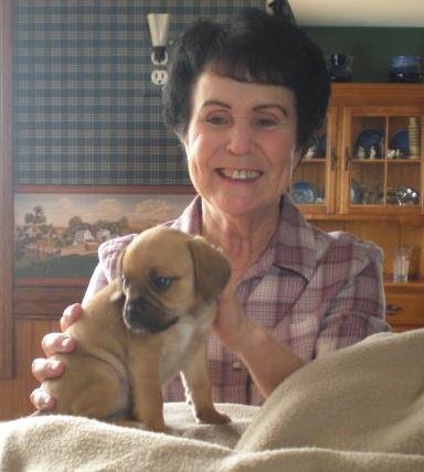 Doris Haas' album, Profile Pictures