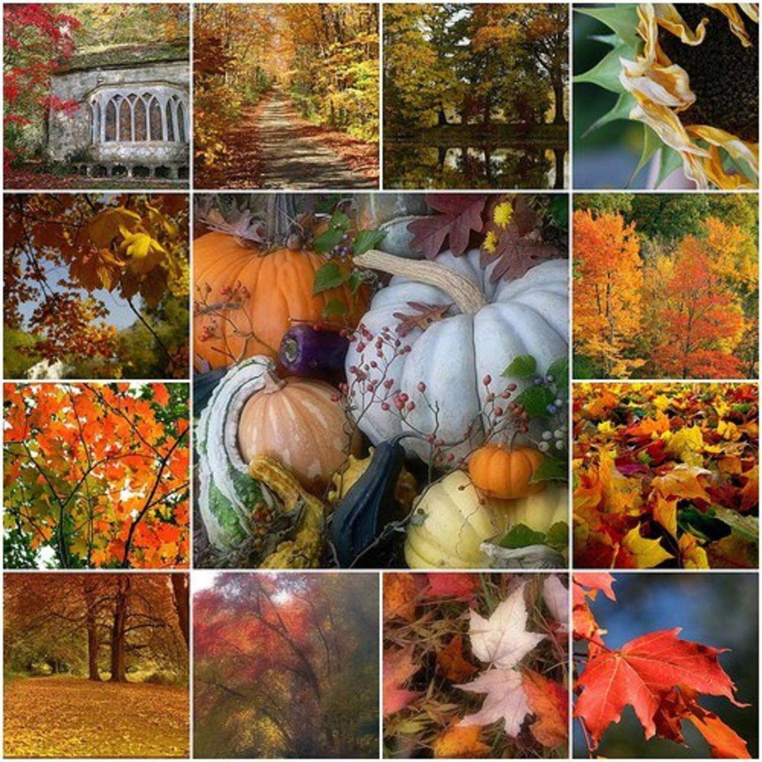 Mary Gray's album, Cover Photos