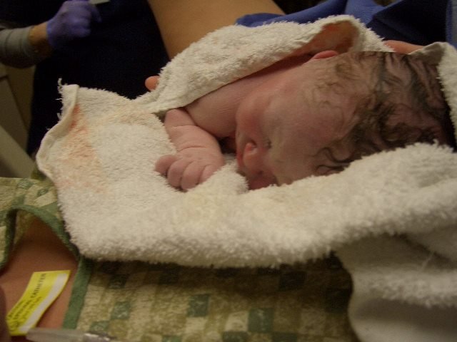 Sandra Dann's album, Timeline Photos