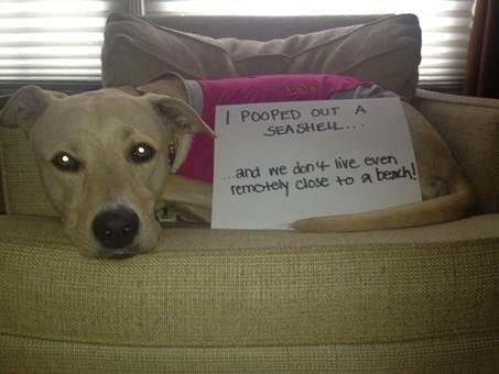 Dwight Earl's album, Timeline Photos
