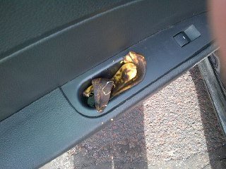 Chris Stec's album, Mobile Uploads