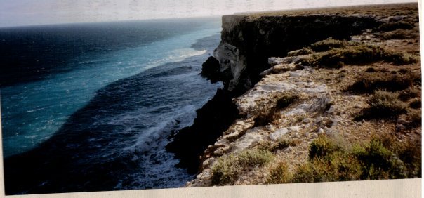 Justin Reeves' album, photos