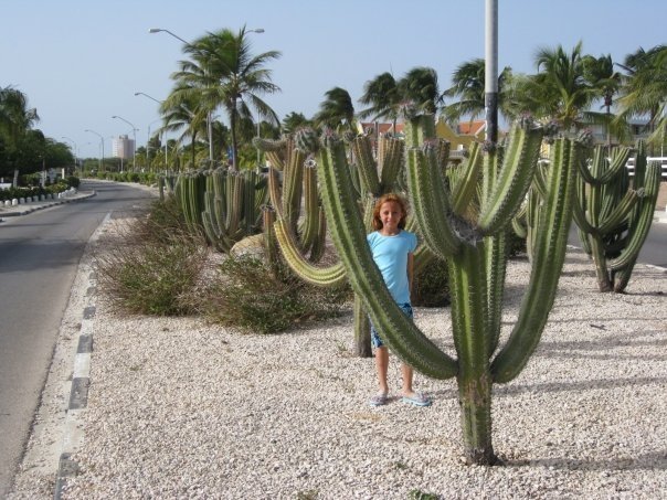 John Bayer's album, Aruba 2009