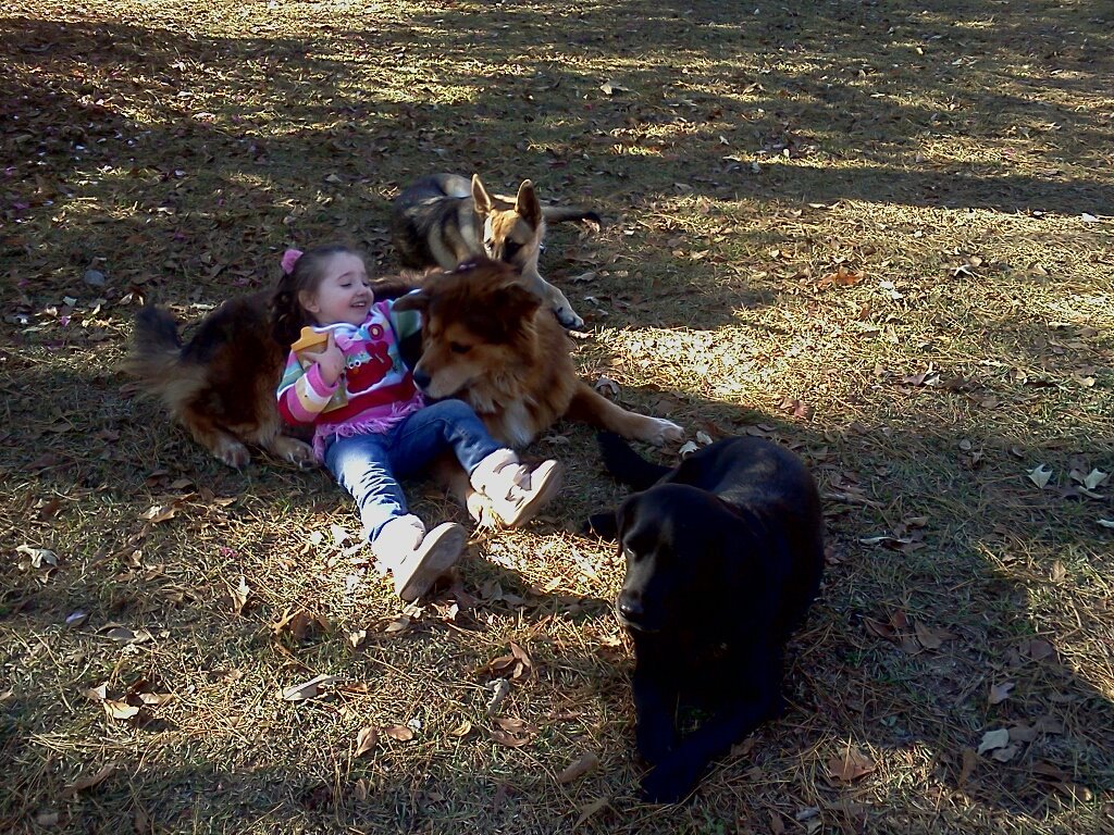Shannon Consentino's album, Mobile Uploads