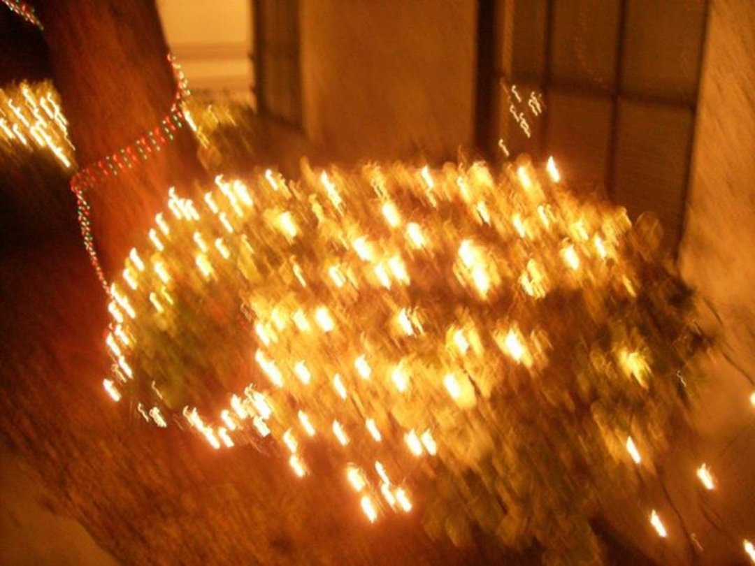 Sharon Nolan's album, December 4, 2011