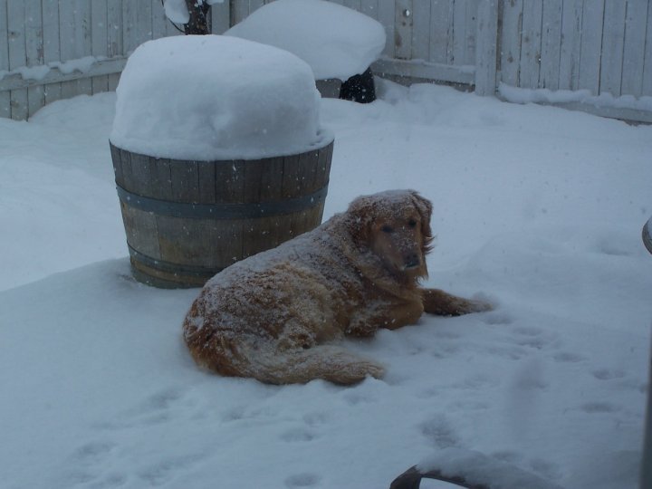 Debra Sonderman's album, Debra's photos