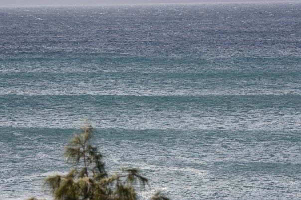 Mike Davis' album, a couple shots of honolua bay