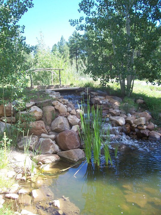 Priscilla McKinnon's album, 2010 Durango
