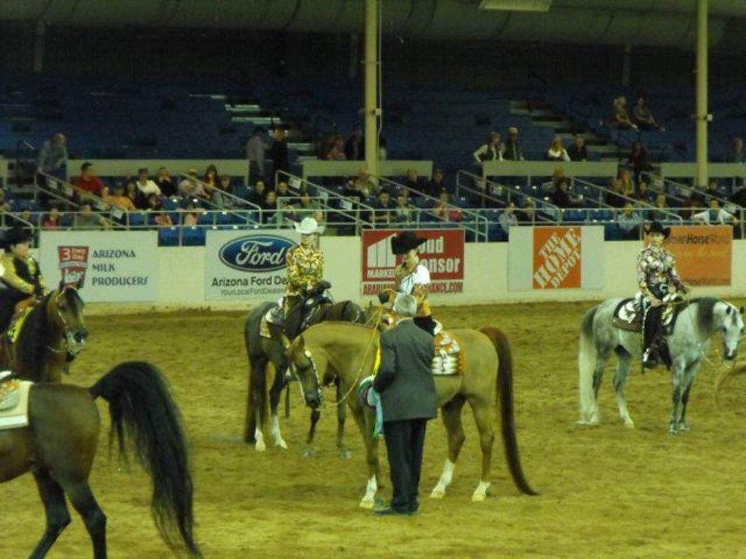 Janice Andersen's album, Arabian Horse Show 2013