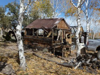 Lynn Lynn Conard's album, Waynes Hunting Pics 2012