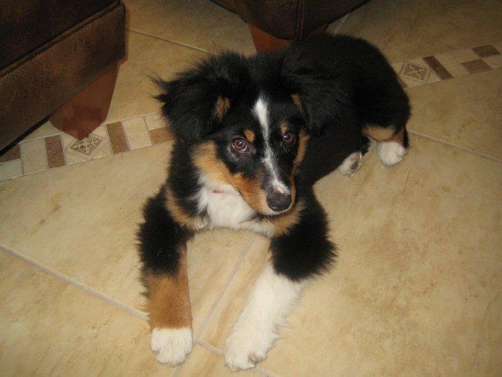 Kandy Foust-nunes' album, Christmas 2008