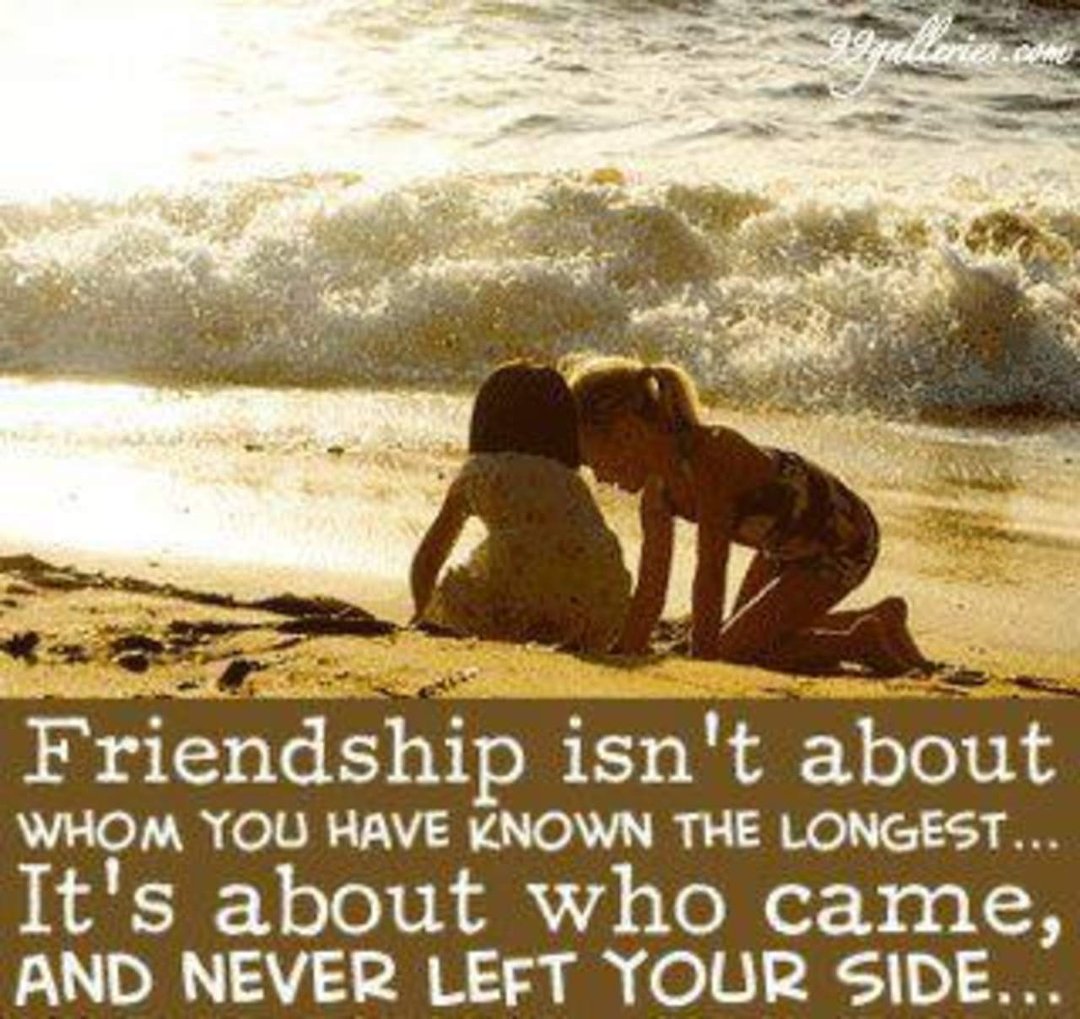 Tricia Perrone's album, Timeline Photos