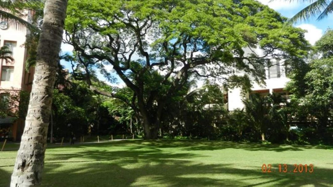 Rich Jackson's album, Waikiki