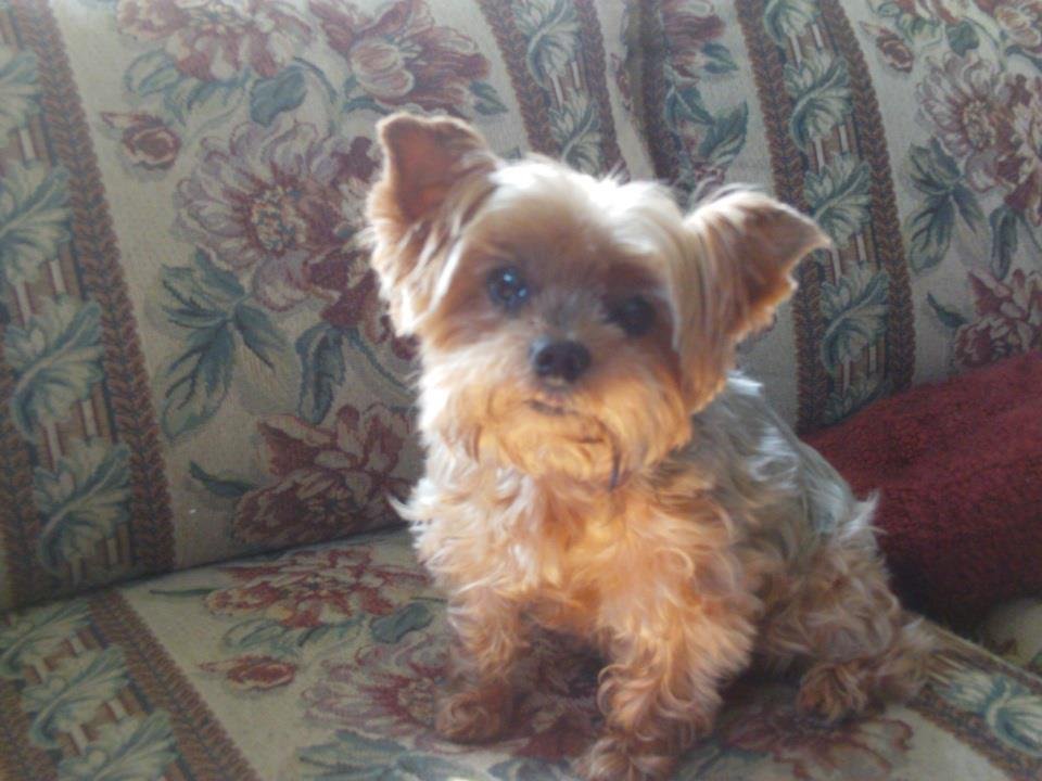 Janice McVay's album, Cover Photos