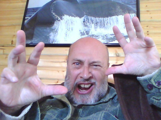 mark childs' album, Profile Pictures